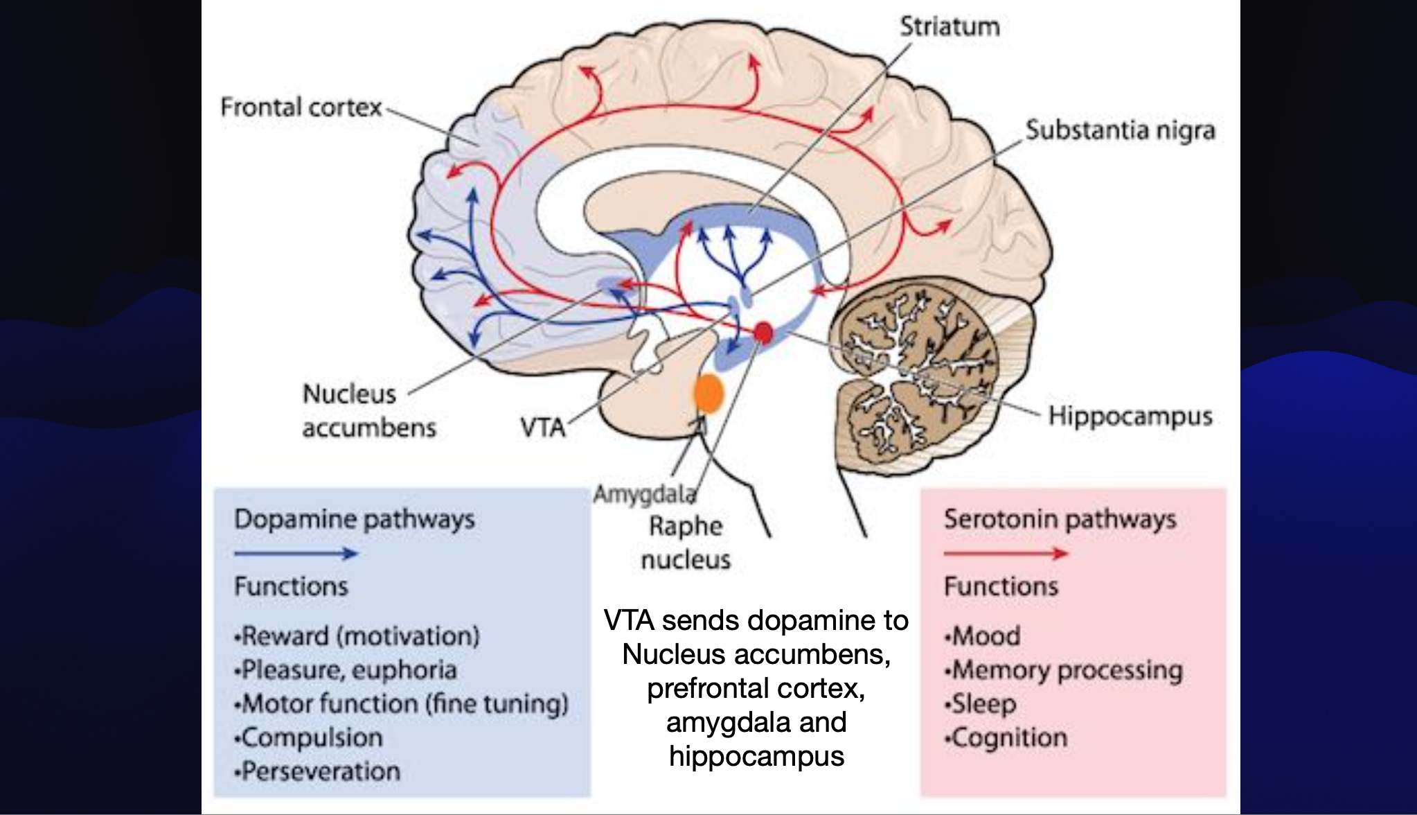 dopamine system mental health near me newport beach, ca